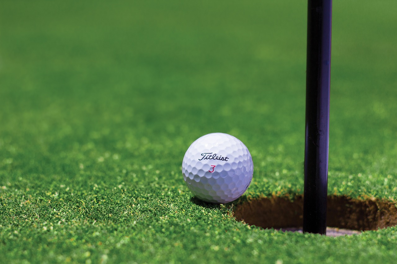 Performance Golf Zone Login
